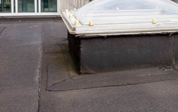 disadvantages of Inverfarigaig flat roofs
